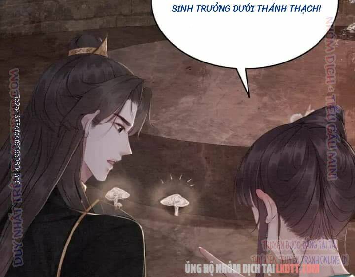 trọng sinh bá sủng nhiếp chính vương quá mạnh mẽ chapter 204 10
