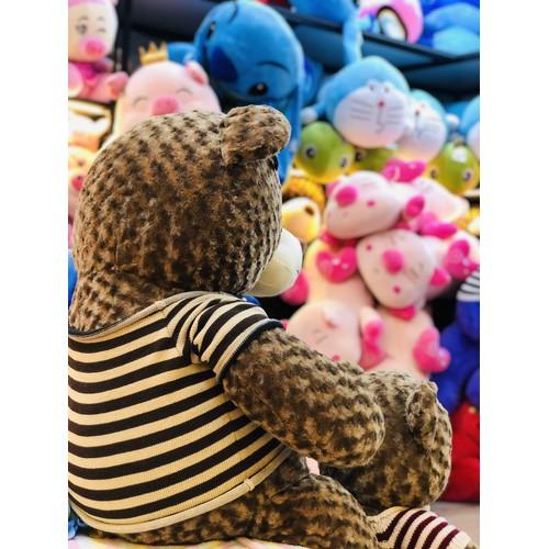 Gấu Bông Teddy Giá Rẻ Cao Cấp Dễ Thương Khổng Lồ