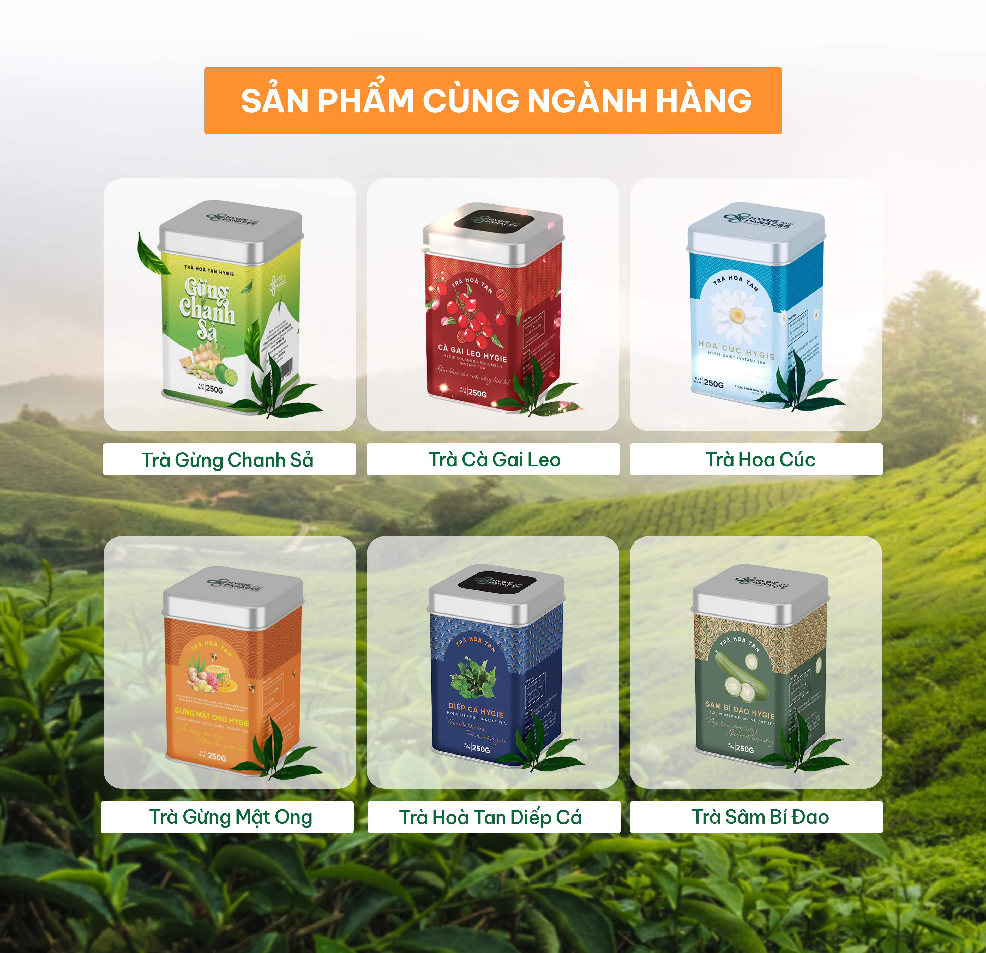 Trà Đinh Lăng Hygie 250g giúp an thần, ngủ ngon