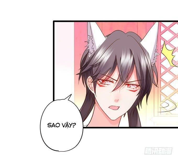 hồ tiên hung bạo chapter 113 5