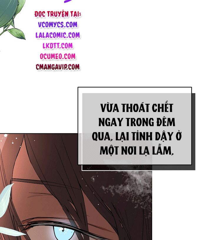 tôi không cố ý quyến rũ nam chính đâu! chapter 21 165