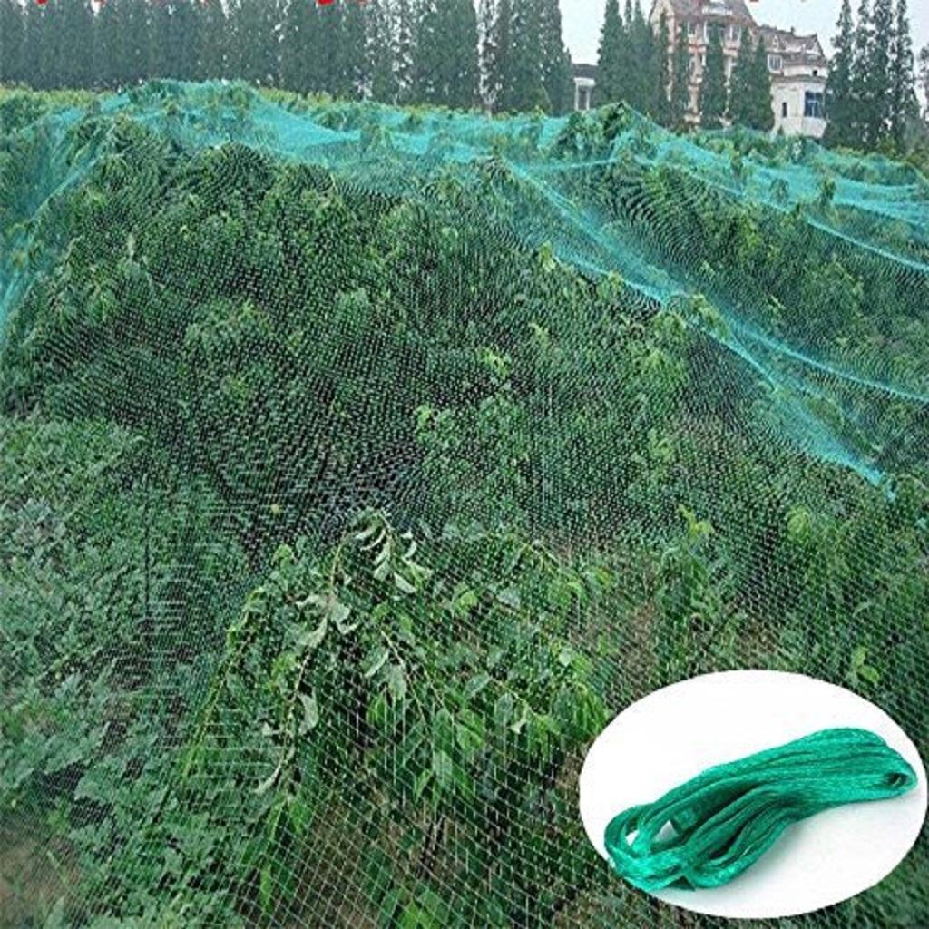 3 Size Anti Bird Net Netting Mesh Protection Plants Veg Crops Garden