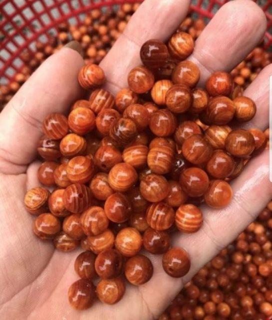 Vòng tràng hạt 10 ly gỗ huyết long - 108 hạt