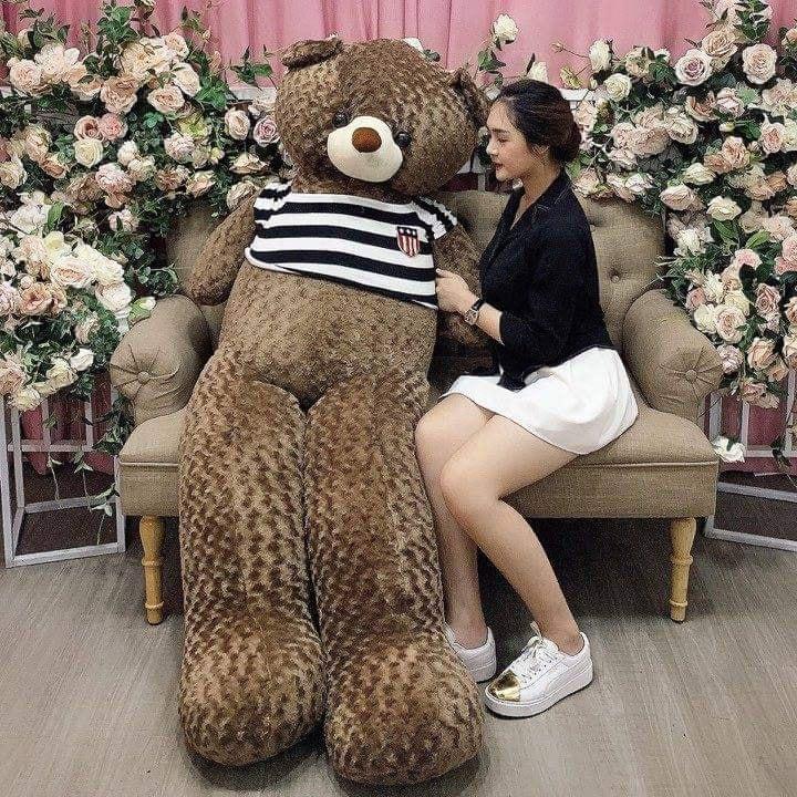 Gấu bông Teddy ̀ ̂́, gối ôm hình thú nhồi bông siêu to khổng lồ 1m8/1m5/1m3/1m1/95cm