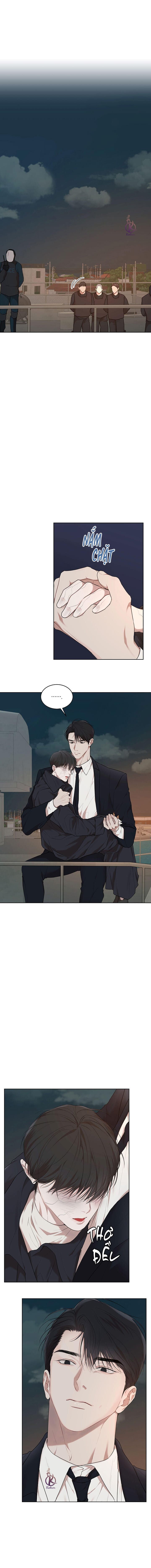 hình thái khởi sinh chapter 60 1