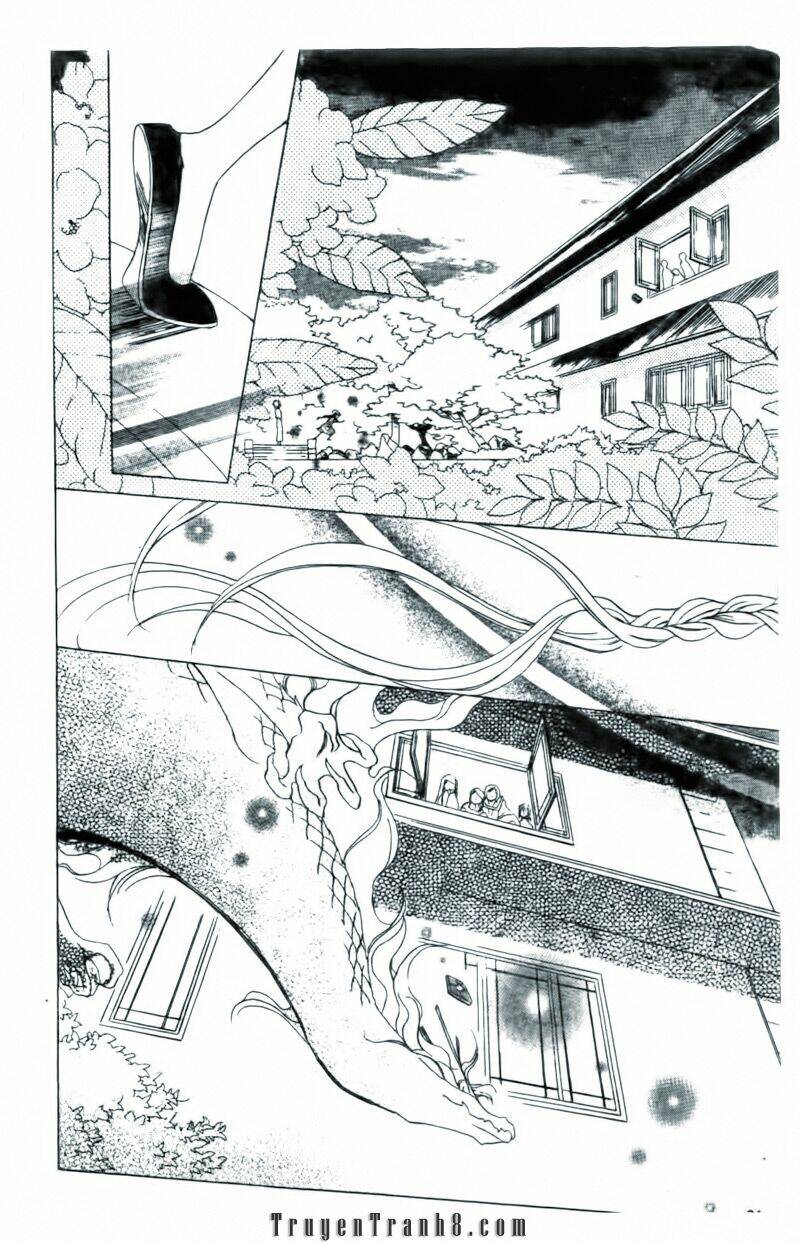 gia tộc rồng - two flowers for the dragon chapter 7 27