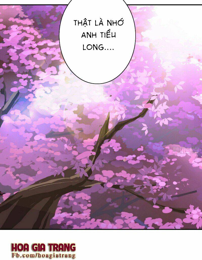 phục thù thiếu gia tiểu điềm thê chapter 19 24