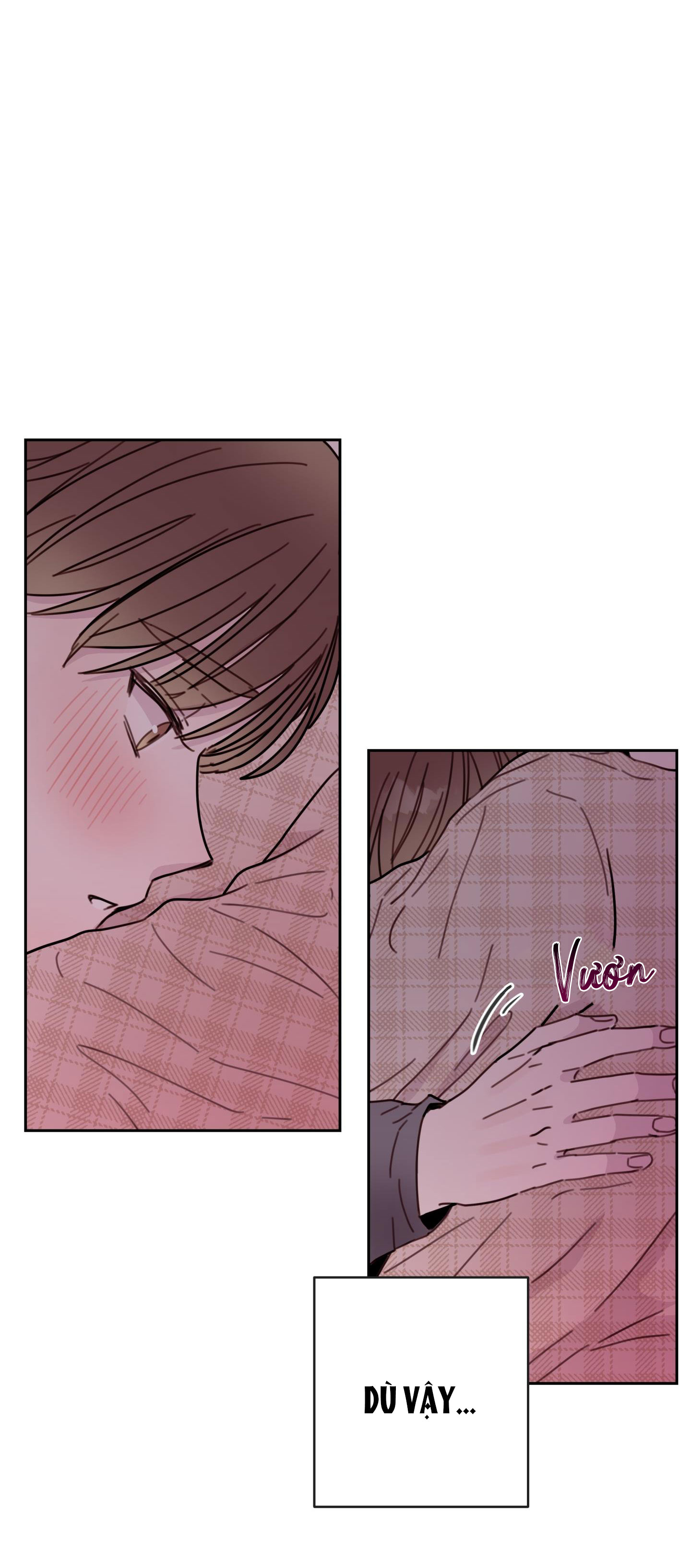 em trai vợ thật nguy hiểm chapter 6 40