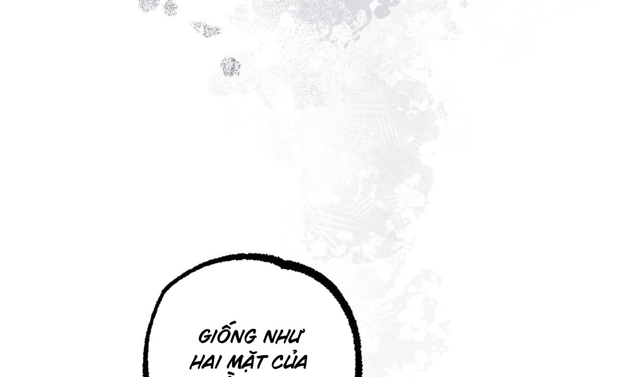 những chú thỏ của hapypy chapter 58 219