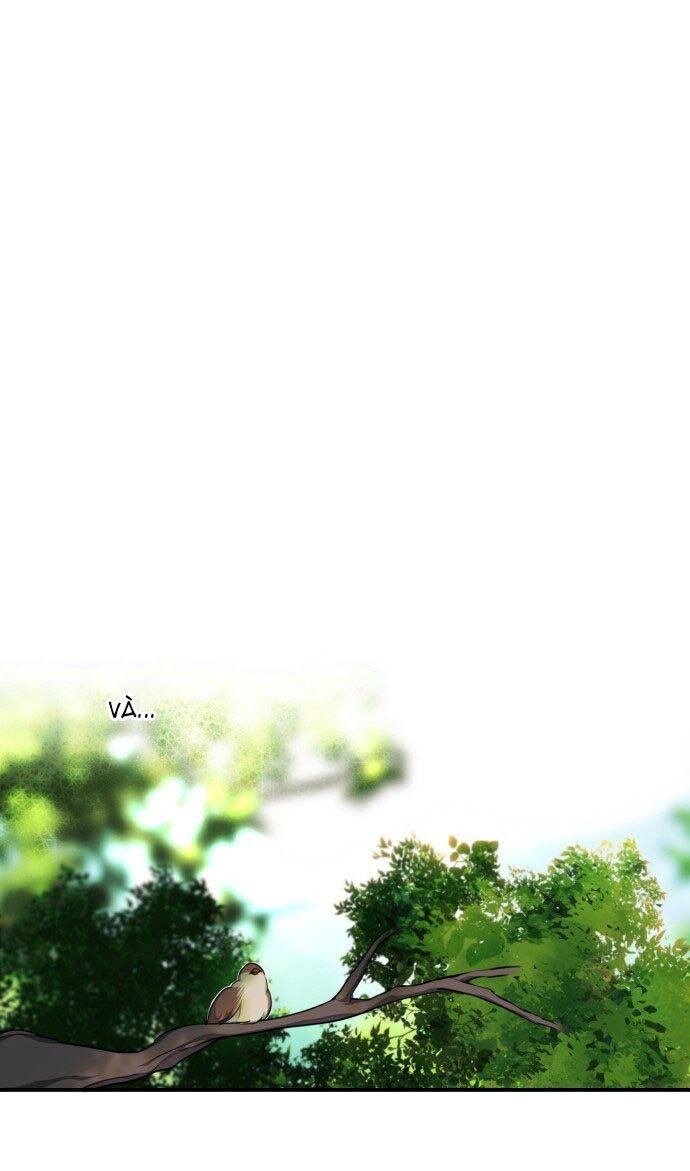 bị che khuất bởi ánh hoàng hôn chapter 15 22
