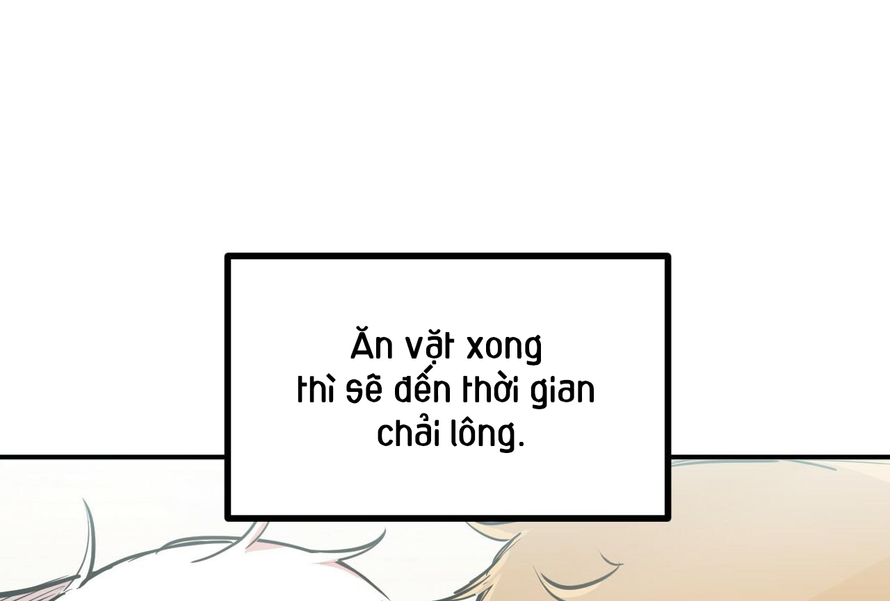 đàn thỏ của habibi chapter 28 155