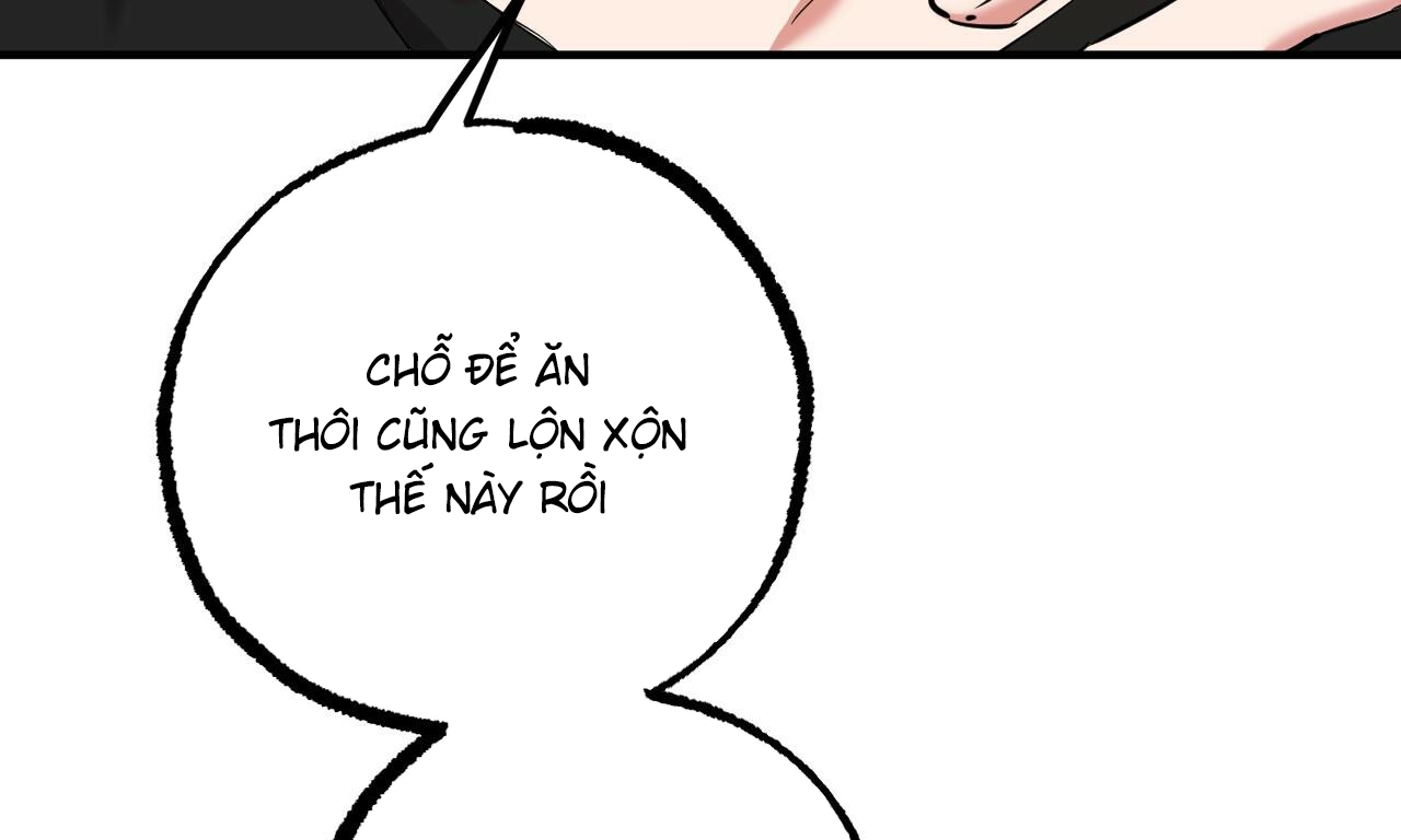 những chú thỏ của hapypy chapter 51 198