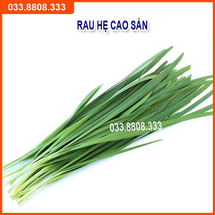 Bộ 4 Hạt Giống Cải Bó Xôi -Hành - Hẹ - Xà Lách Đăm Dễ Trồng Và Chăm Sóc