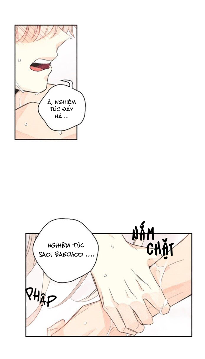 bắp cải bên dưới củ cải chapter 3 52