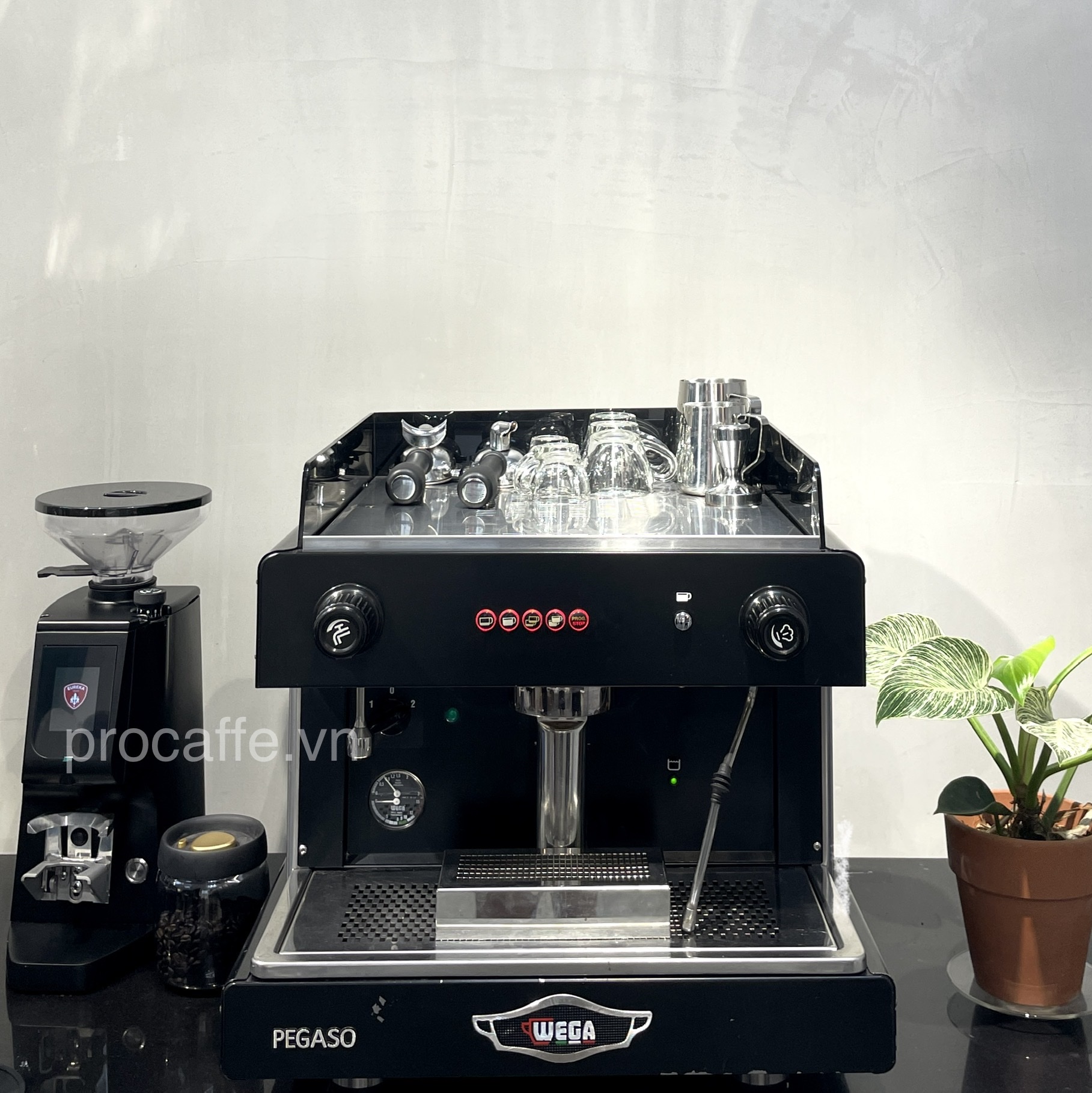 Máy pha cà phê chuyên nghiệp WEGA PEGASO - Hàng chính hãng