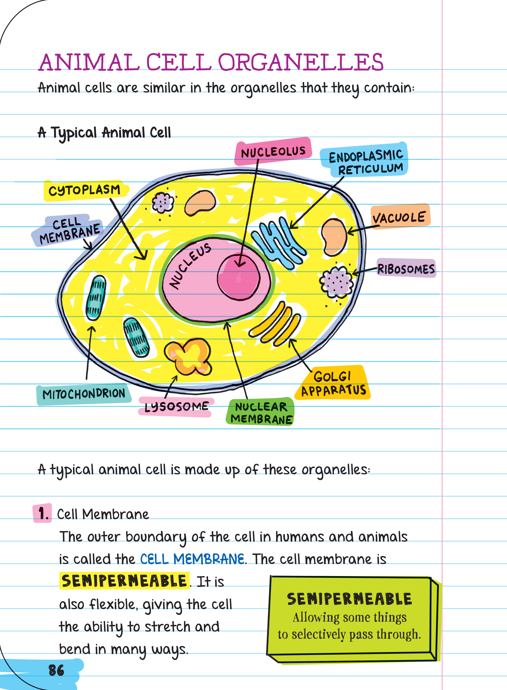 Sách: Everything You Need To Ace Biology - Sổ tay sinh học ( lớp 8 - lớp 12 )