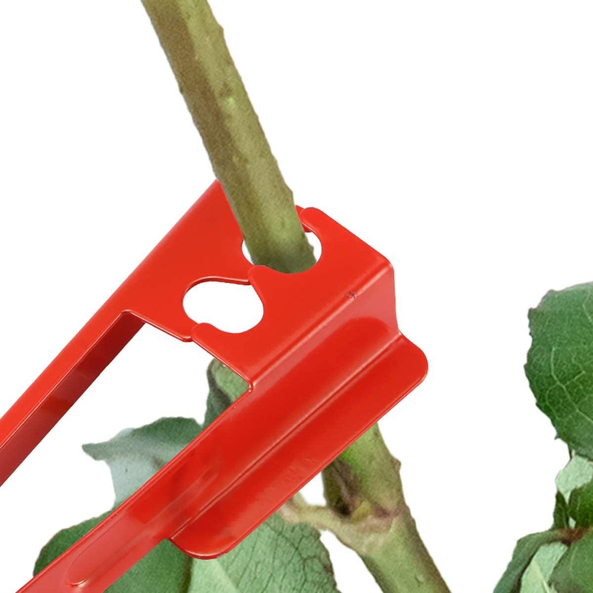 2 cái dụng cụ tước lá gai cho hoa hồng vườn,  gai để cắm hoa