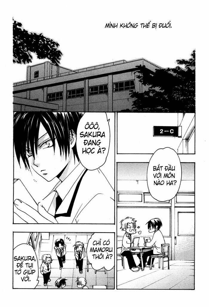 hatsukoi elegy chapter 4 11