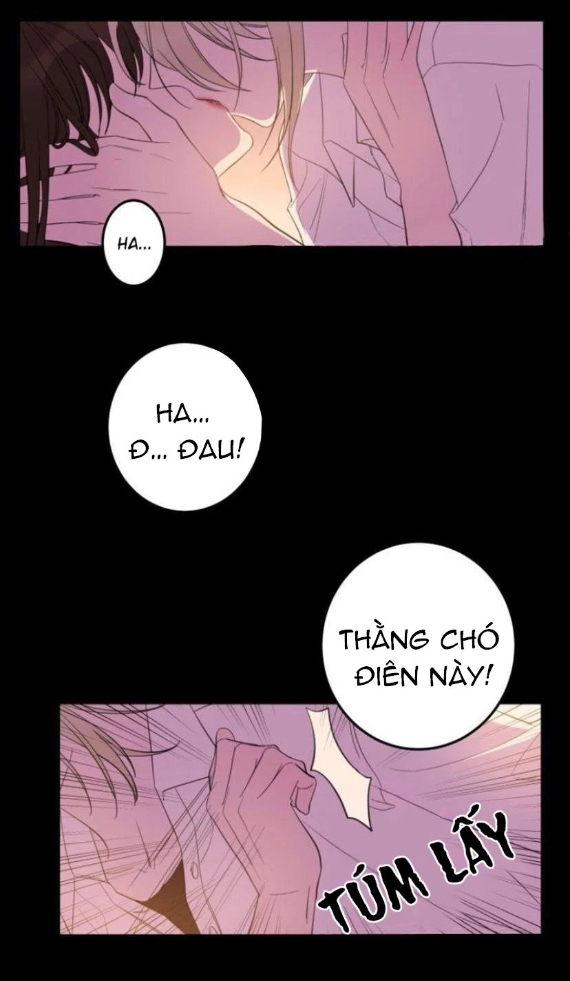 người tình dâm đãng của tôi chapter 12 11