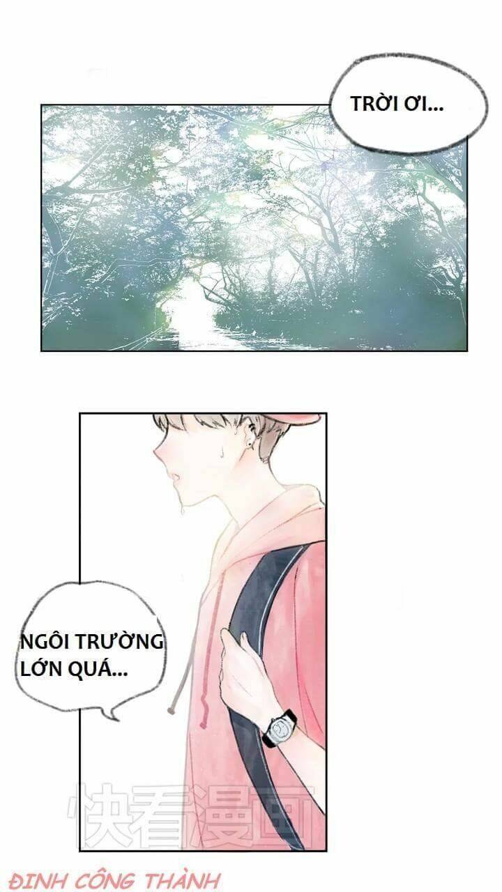 nước trái cây có gas chapter 2 2