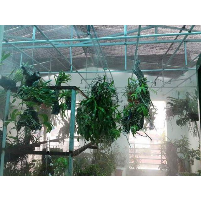Lưới che nắng Đài Loan dệt kim, độ bền 8-10 năm, nhập khẩu chính hãng, khổ rộng 2,0-4,2m