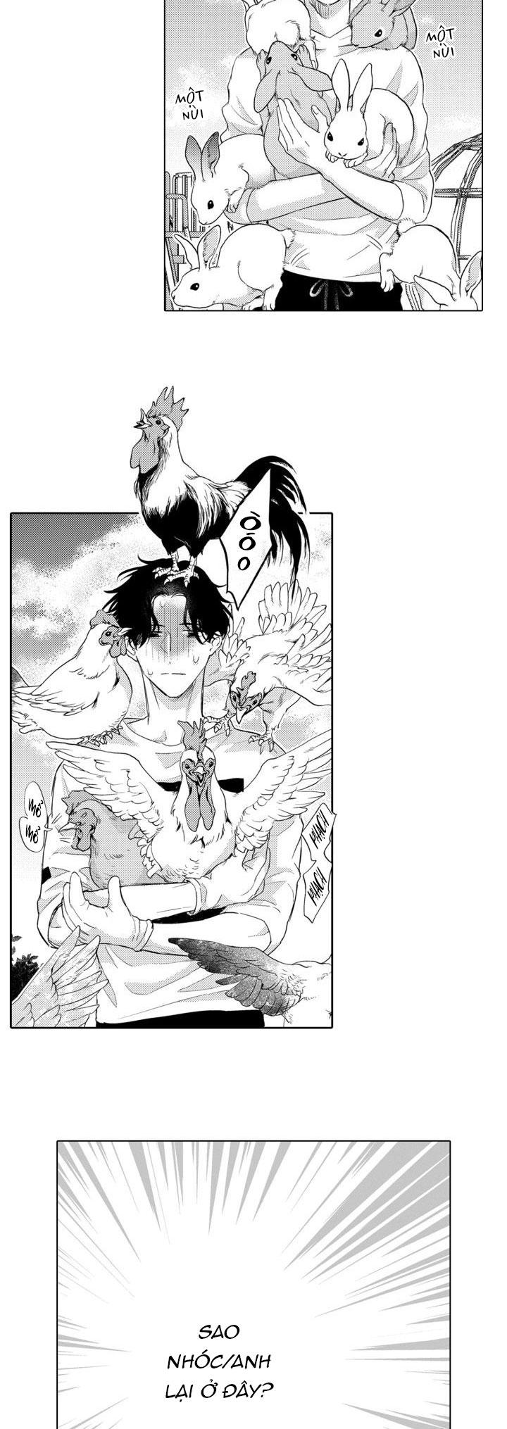 hiyoko-chan to harinezumi-kun chapter 5 5