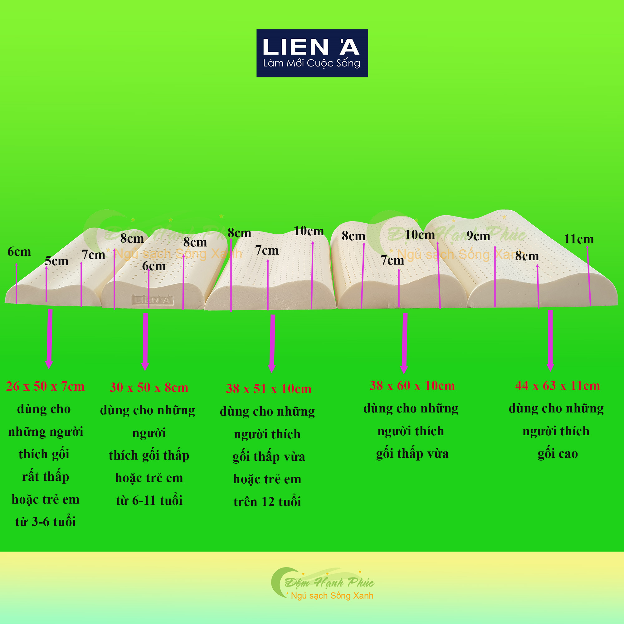 Gối Cao Su Liên Á Contour , Chống Ngáy - Cao Su Thiên Nhiên 100%