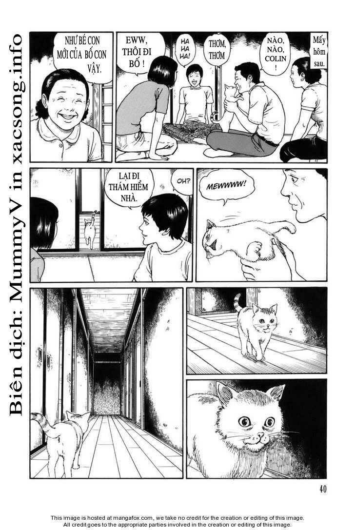 new voices in the dark chapter 2 4