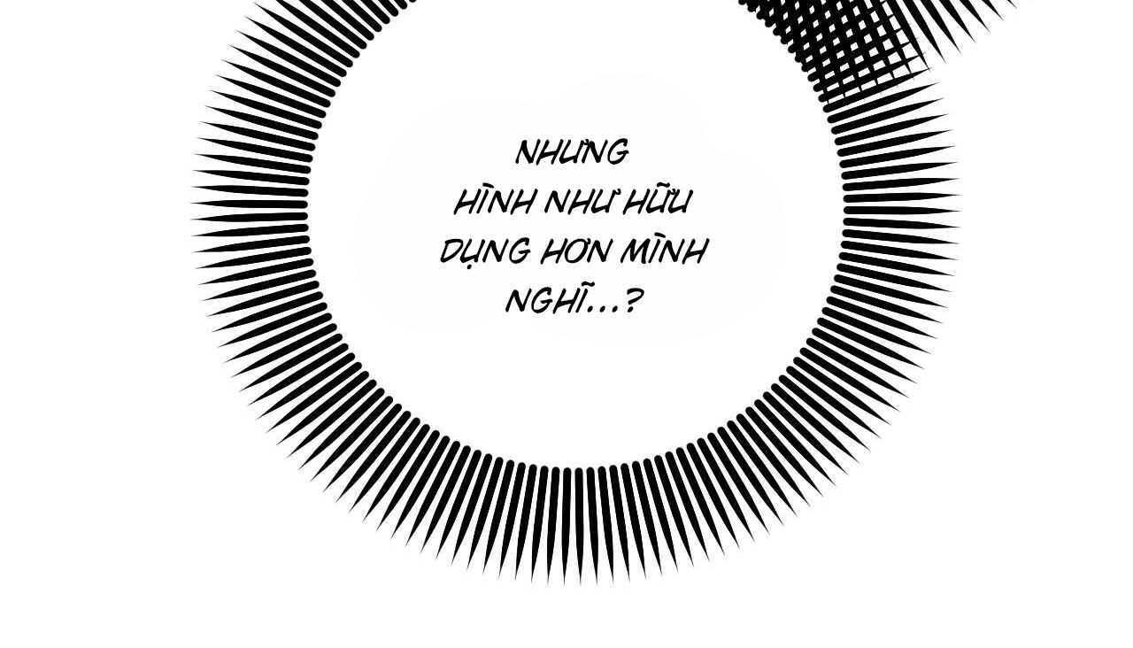 NHỮNG CHÚ THỎ CỦA HAPYPY chapter 56