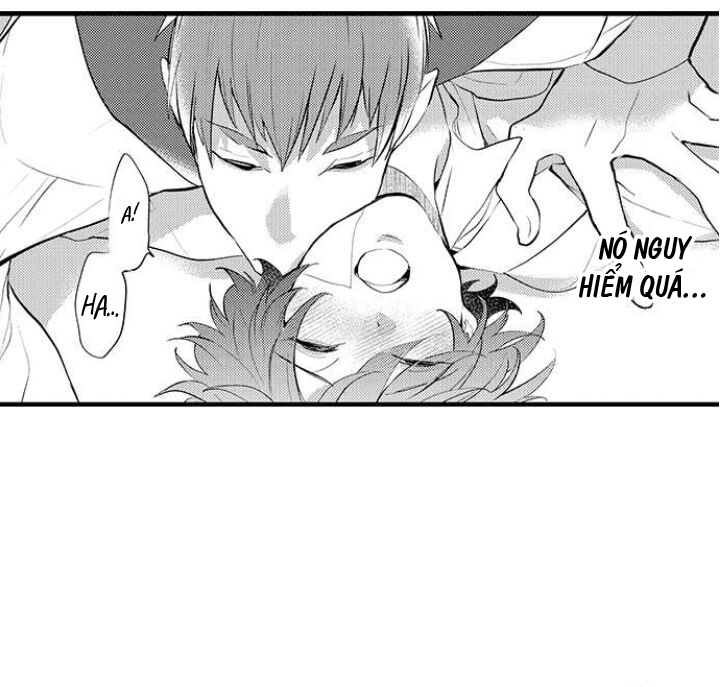 tiếng gọi của tình yêu sau trải nghiệm cận tử chapter 11 7