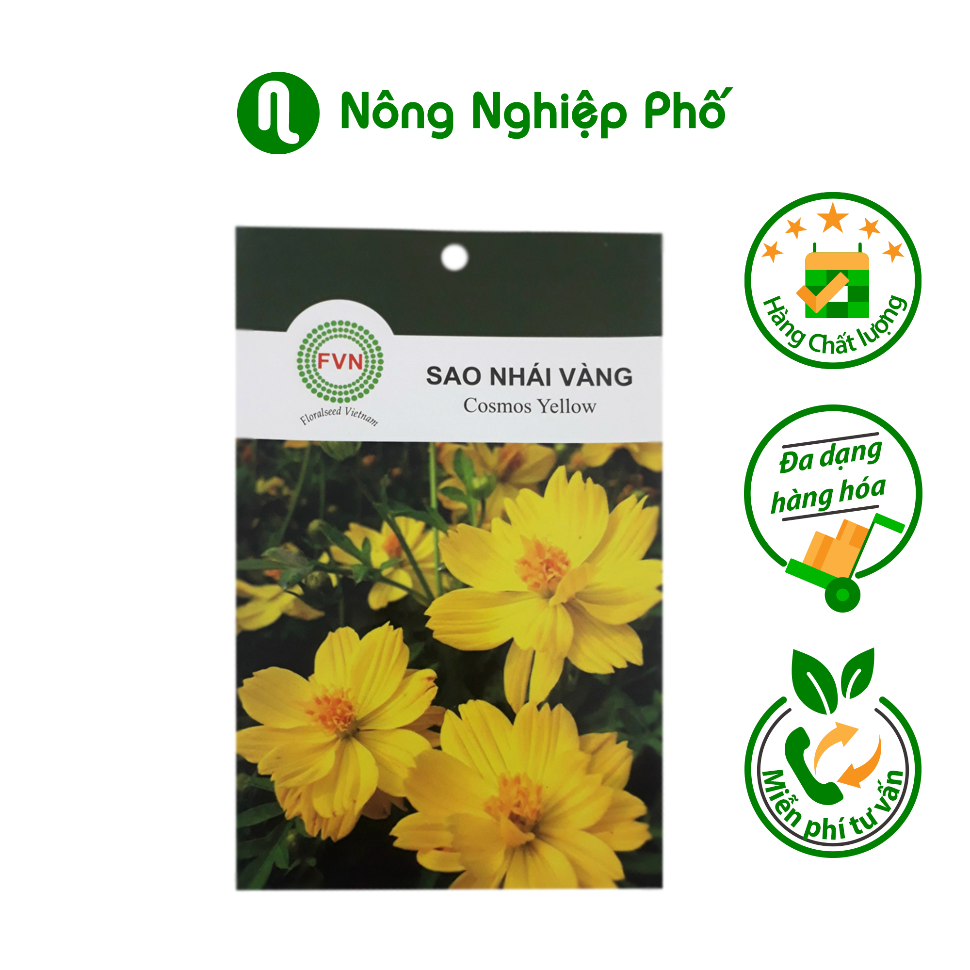 Hạt giống hoa Sao Nhái Vàng FVN - Gói 15 hạt