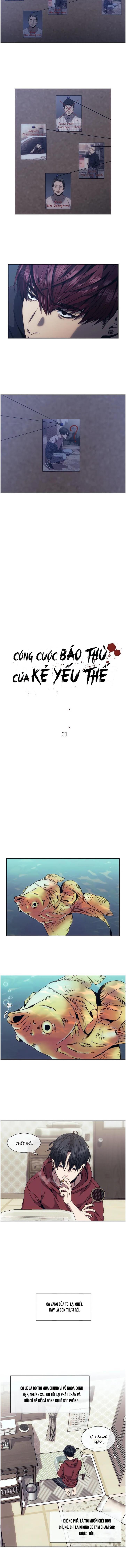 công cuộc báo thù của kẻ yếu thế chapter 1 3