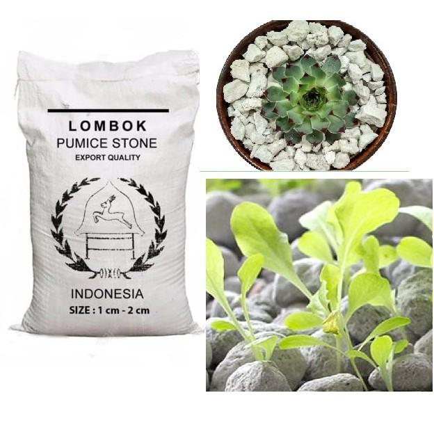 1kg Đá bọt Pumice Indonesia (đá thấm thủy, đá lông vũ, nham thạch trắng, đá núi lửa, đá ngậm nước...)