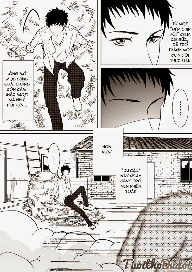 sự mê hoặc của sói chapter 9 3