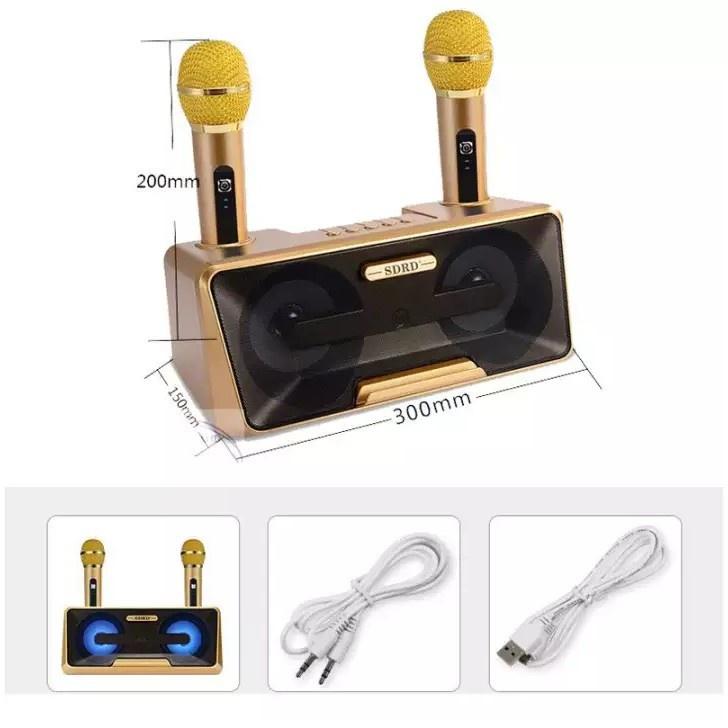 Loa Karaoke SD 301/309 Kèm 2 Micro Không Dây tích hợp bluetooth 4.0 - usb - thẻ nhớ