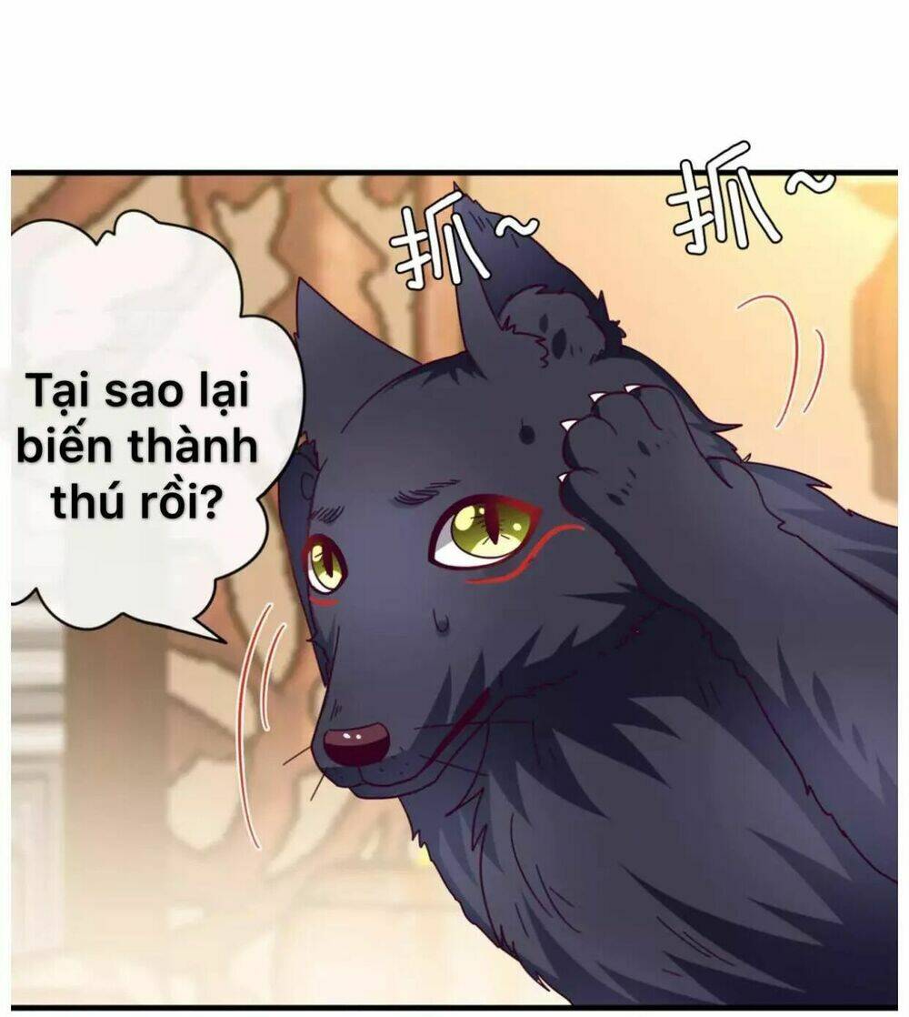 nữ hoàng thú sủng chapter 10 32