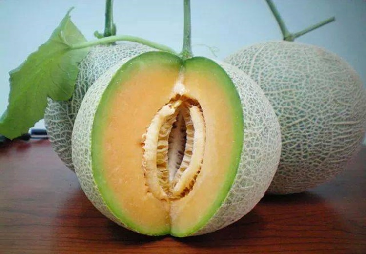 Dưa Lưới Nhật Ngon Loại 1 - trái 1,5kg