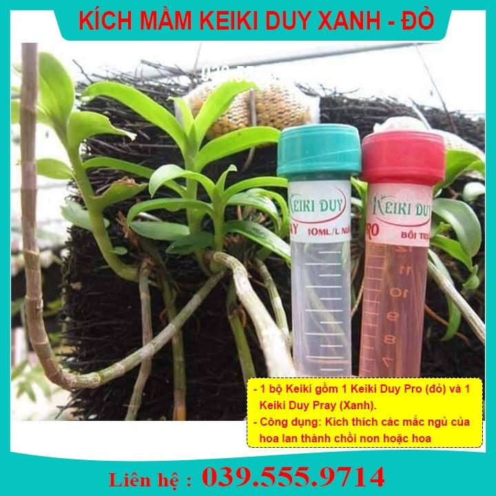 BỘ ĐÔI KEIKY ĐỎ VÀ XANH kích thích sinh trưởng