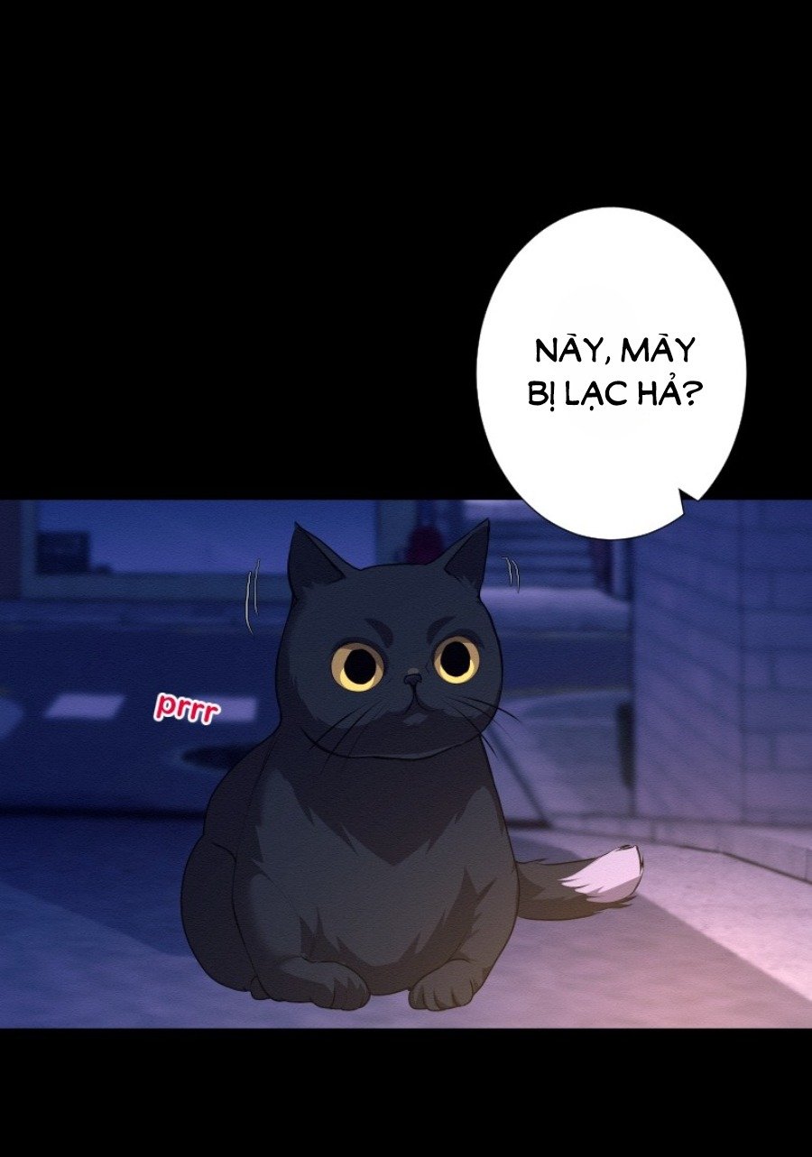 tôi đang hẹn hò với anh chàng điên loạn chapter 26 61