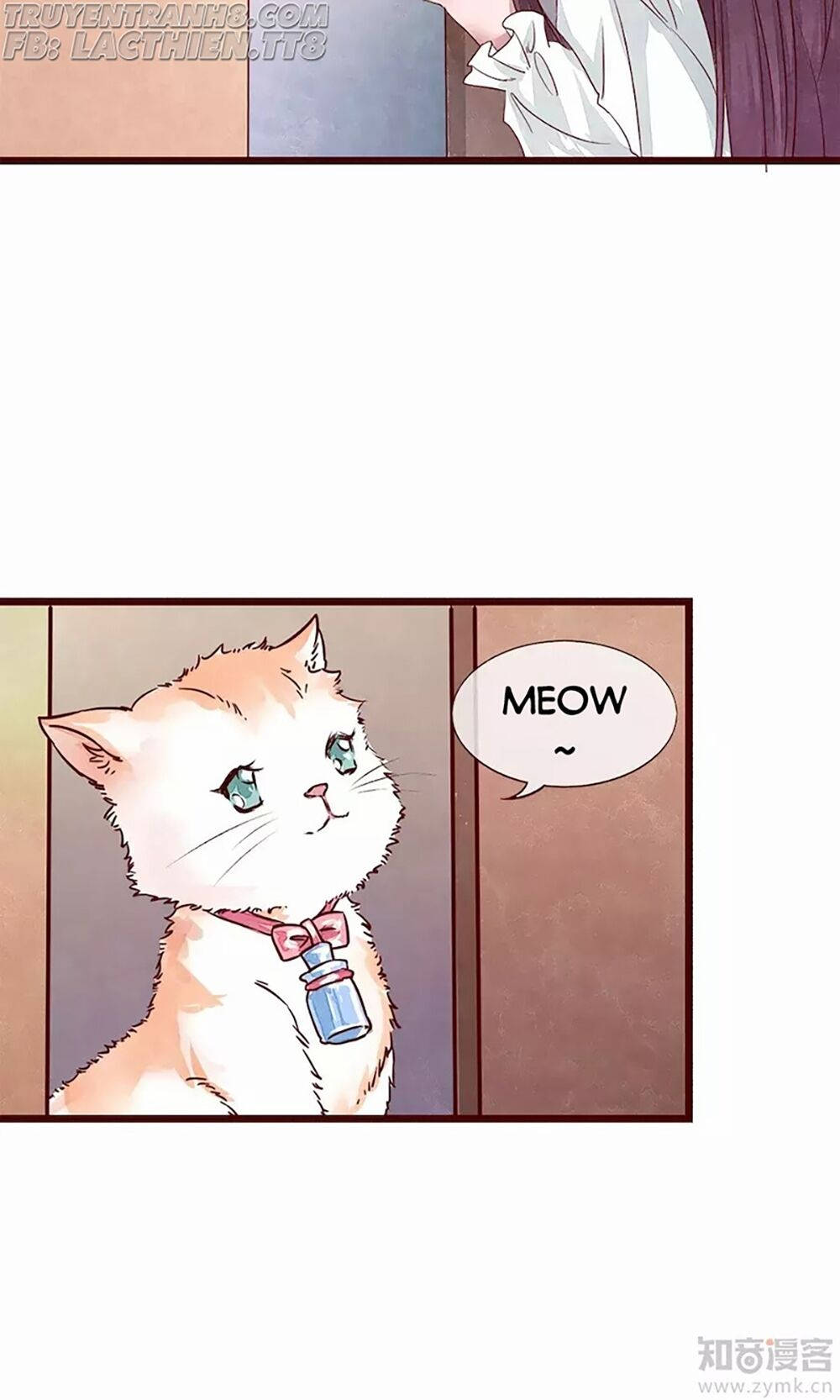 đào tạo nuôi dưỡng bạn trai mèo chapter 2 38