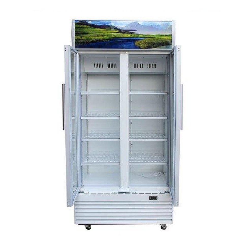 Tủ mát Sanaky VH-1009HP 1000 lít - Hàng chính hãng (chỉ giao HCM)