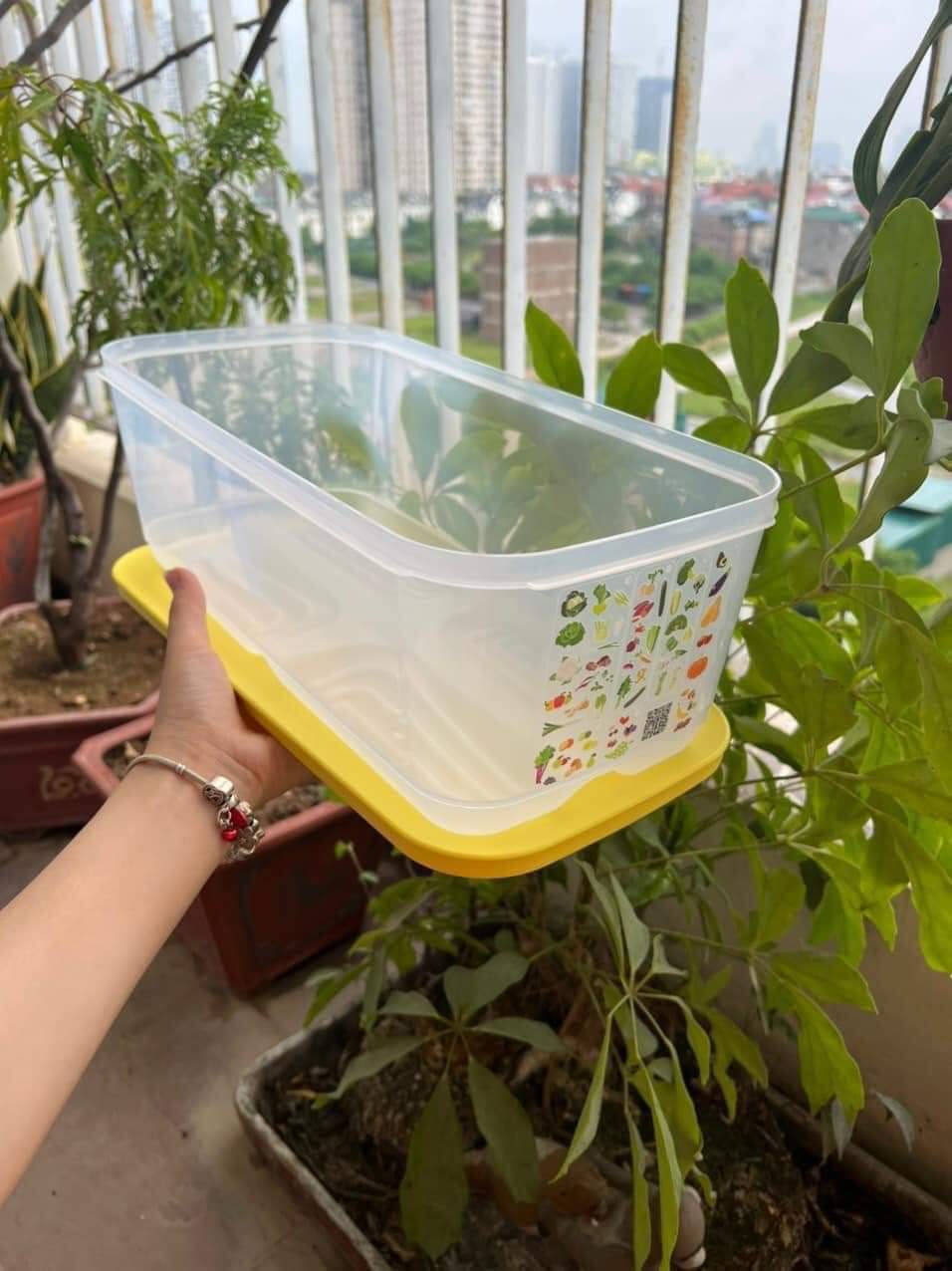 Hộp trữ mát có nút hô hấp Ventsmart 6.1 Lít Tupperware - Hàng chính hãng