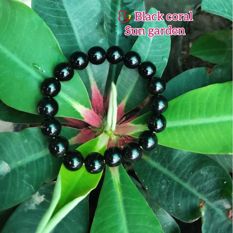 Vòng tay san hô đen sang trọng