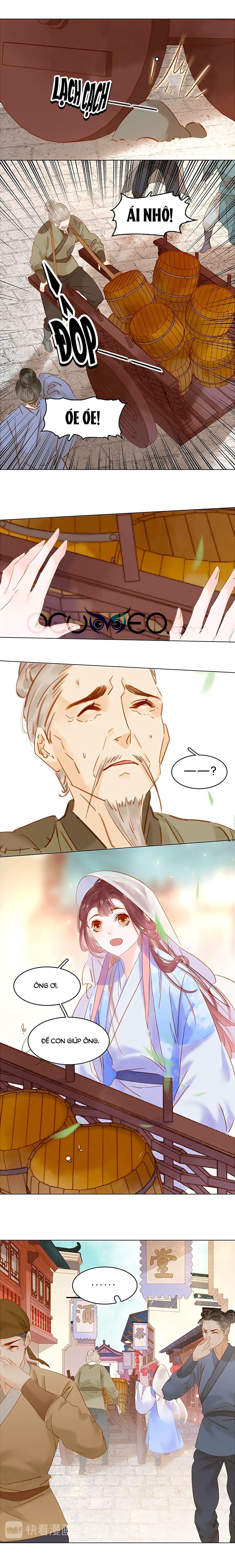 tiểu sư phụ, tóc giả người rơi rồi! chapter 8 8