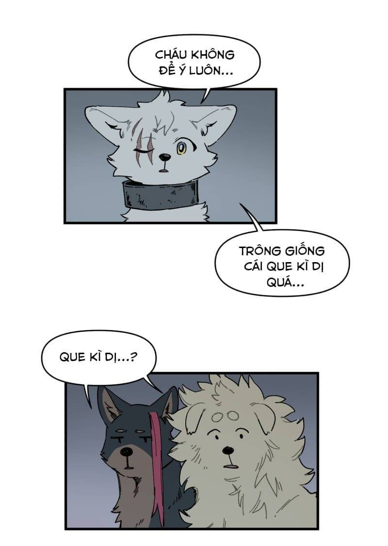 lumine - cội nguồn ánh sáng chapter 145 21