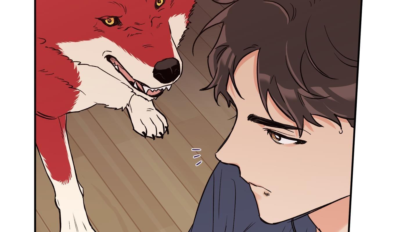 gâu gâu! chapter 43 68