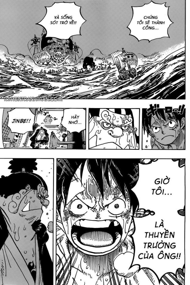 đảo hải tặc - one piece chapter 901 12