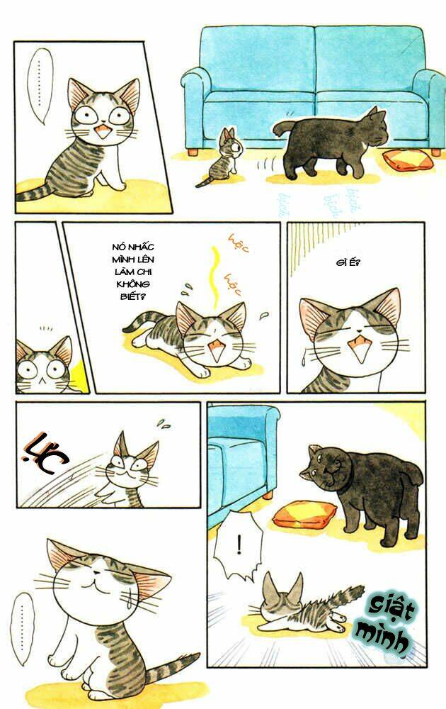 chi's sweet home chapter 29 3