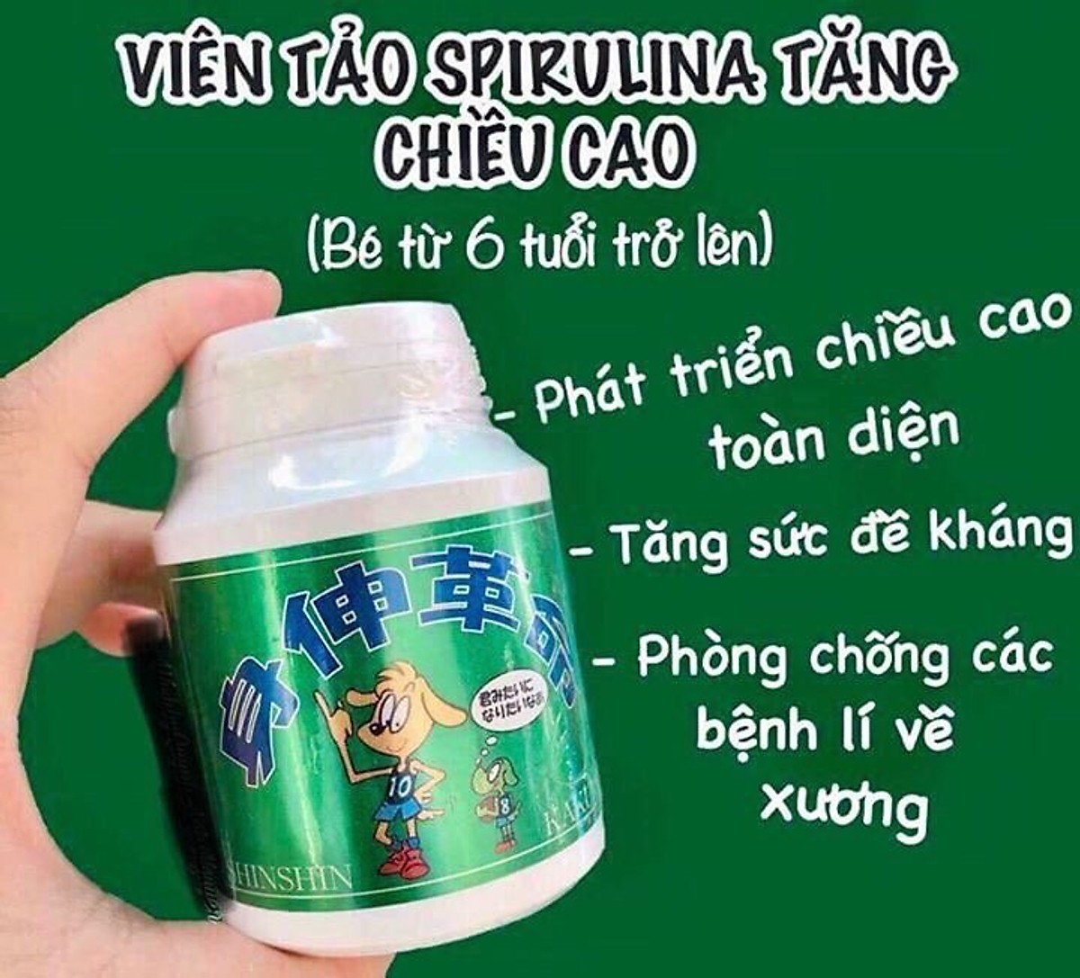 Thực Phẩm Chức Năng Tảo Tăng Chiều Cao Shinshin Kakumei Nội địa Nhật Bản - Tặng kẹo mật ong SENJAKU nguyên chất