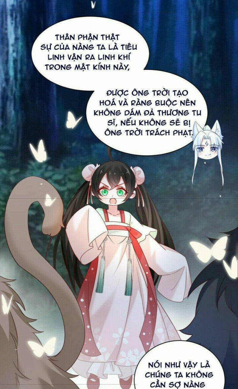 hắc hóa nam chính trực tuyến nuôi thỏ chapter 51 19